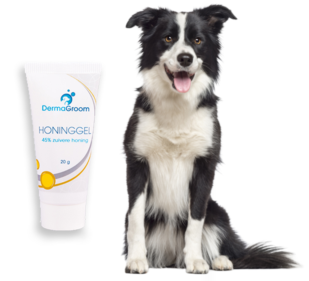 Dermagroom-hond-Honinggel-20gr